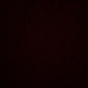 Meet your Posher, Dillon